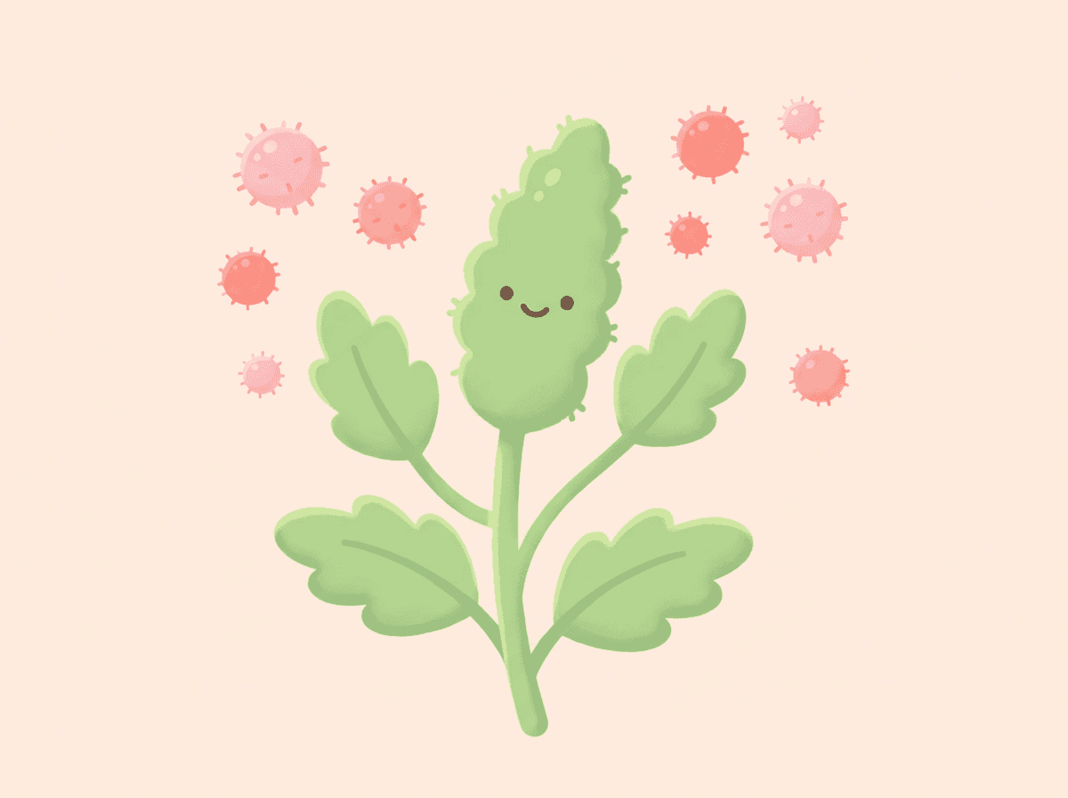 What Is Ragweed Pollen?